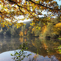 Herbstlicher_See.png